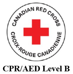 Emergency Child Care First Aid and CPR/AED Level B 